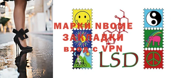 хмурый Алексин