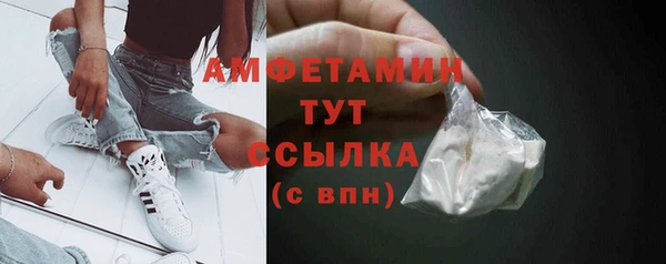 хмурый Алексин