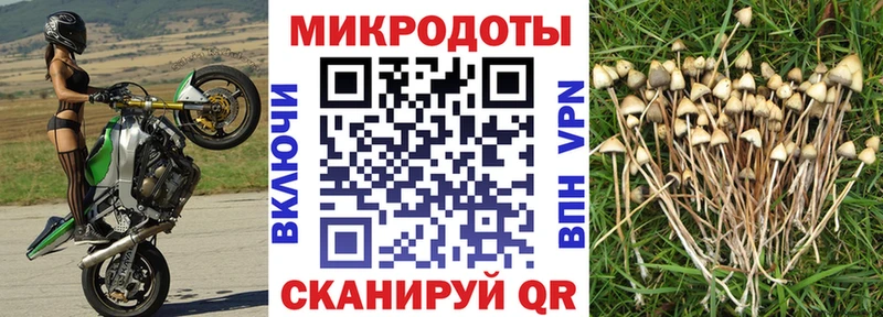 даркнет сайт  Кинешма  мега рабочий сайт  Псилоцибиновые грибы мицелий 